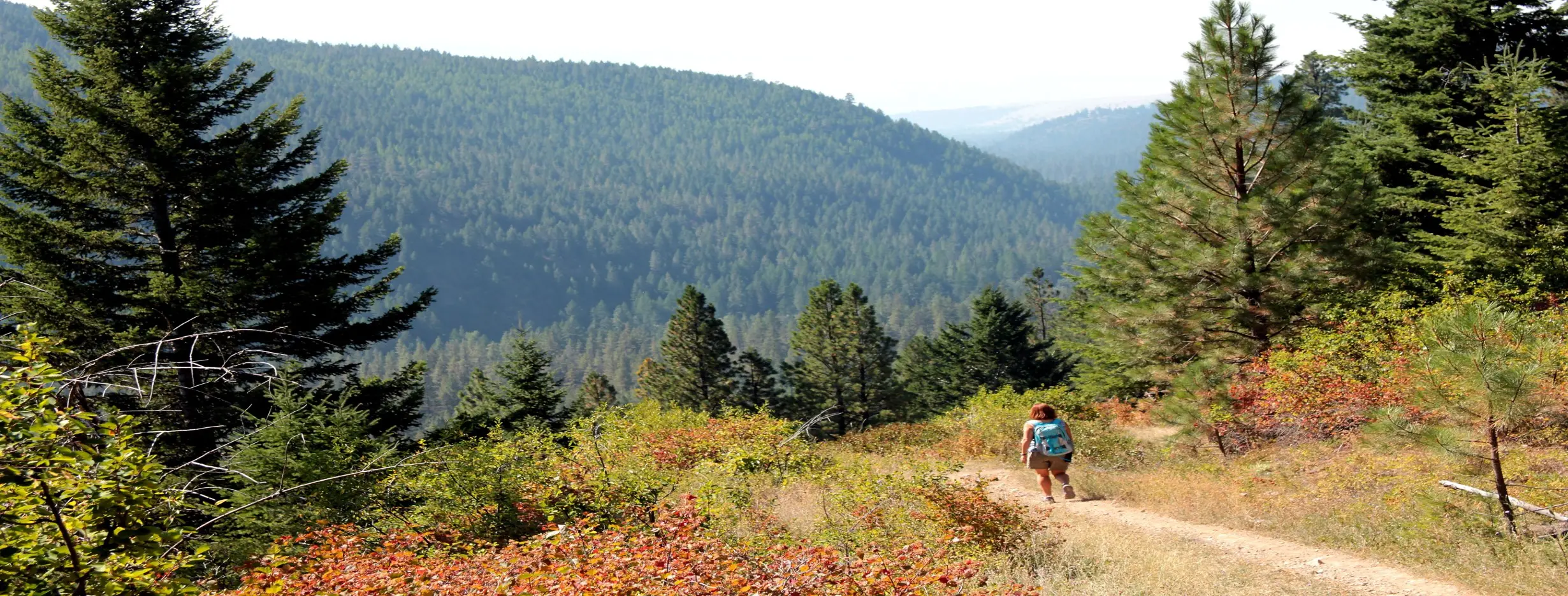 Image for Hike Scenic Trails